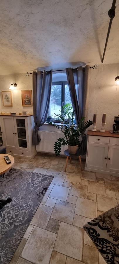 Monteur-Ferienwohnung Ot Naundorf Naundorf  Екстериор снимка