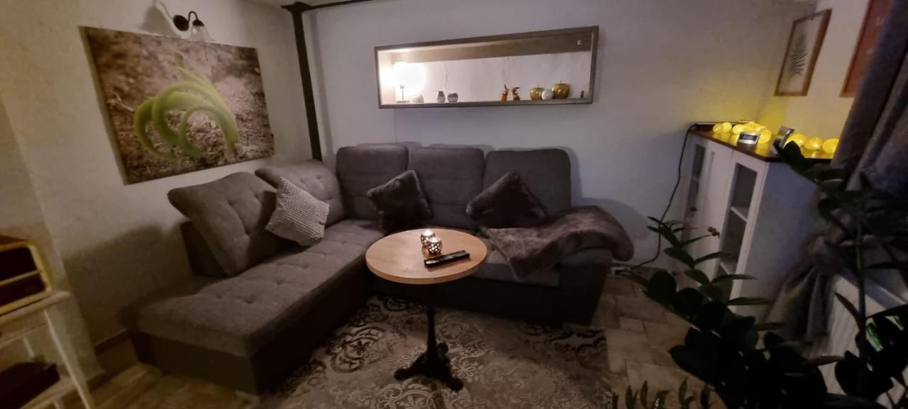 Monteur-Ferienwohnung Ot Naundorf Naundorf  Екстериор снимка