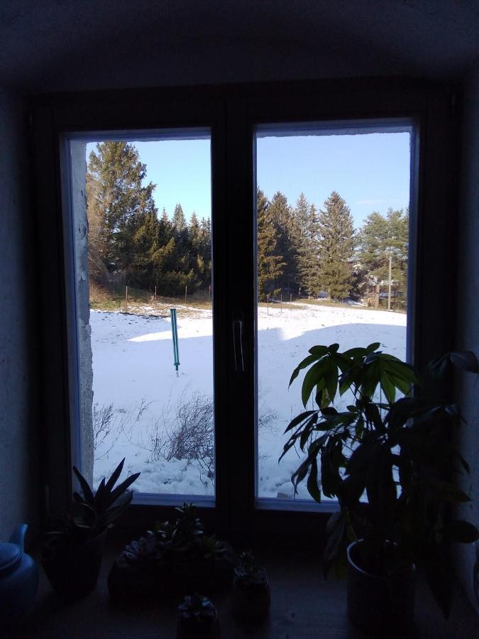 Monteur-Ferienwohnung Ot Naundorf Naundorf  Екстериор снимка